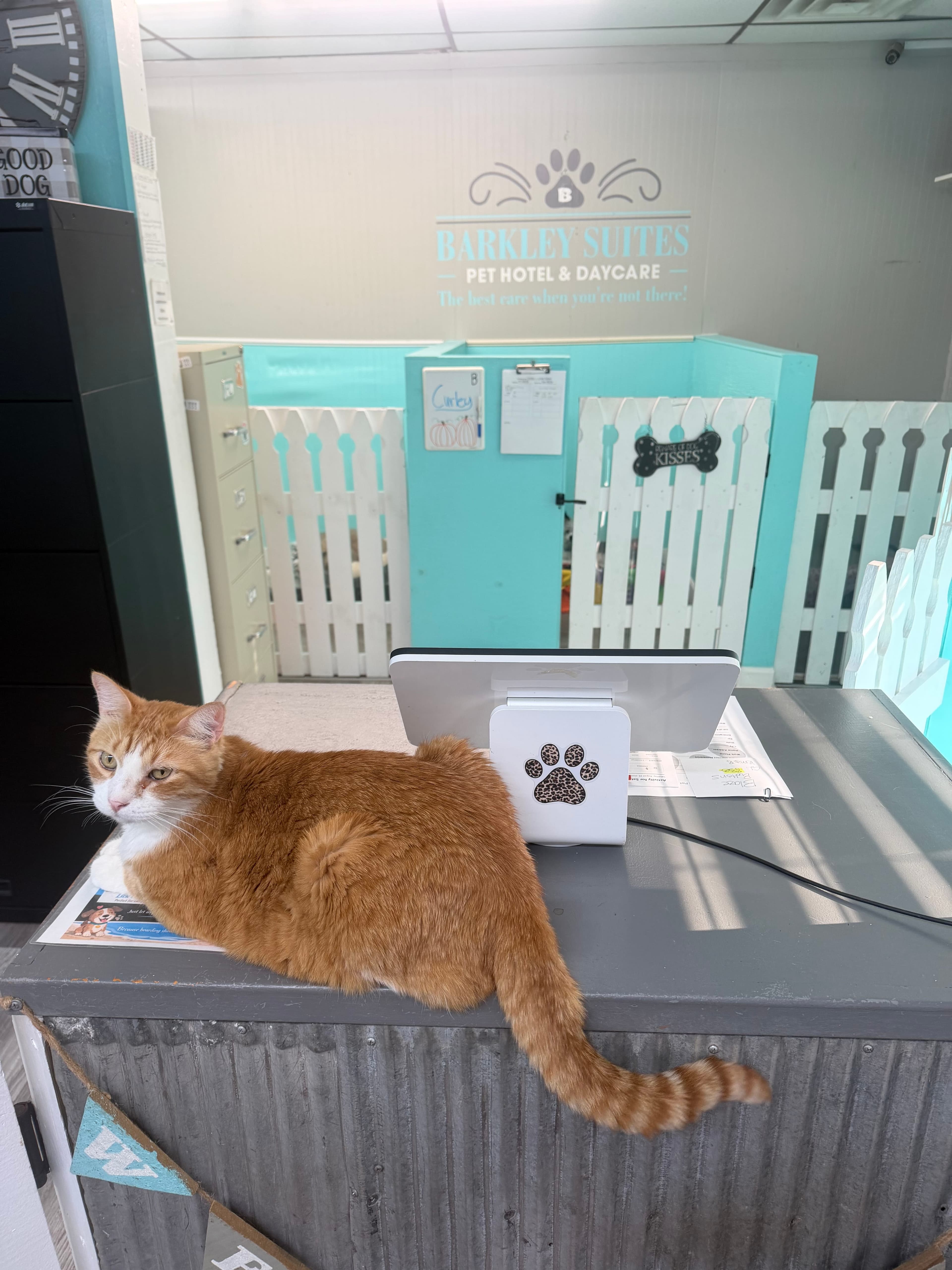 Our front desk